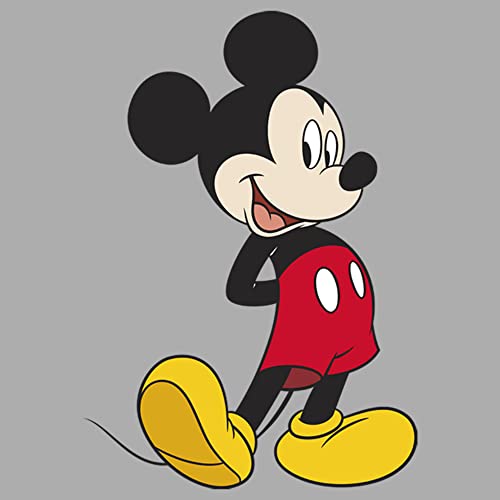 Disney Characters Traditional Mickey Boy's Heather Crew Tee2