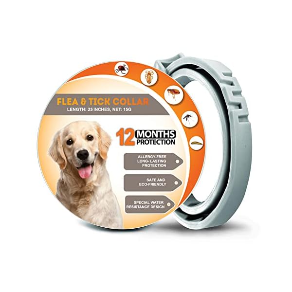 Collar for Dogs 25 Inches, Dog Collar with Natural Essential Oils, 12-Month Lasting Dog Collars, Waterproof Collar for All Dog Breeds Collar for Dogs 25 Inches, Dog Collar with Natural Essential Oils, 12-Month Lasting Dog Collars, Waterproof Collar for All Dog Breeds