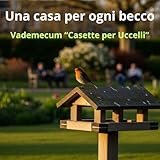 Una casa per ogni becco: Vademecum 