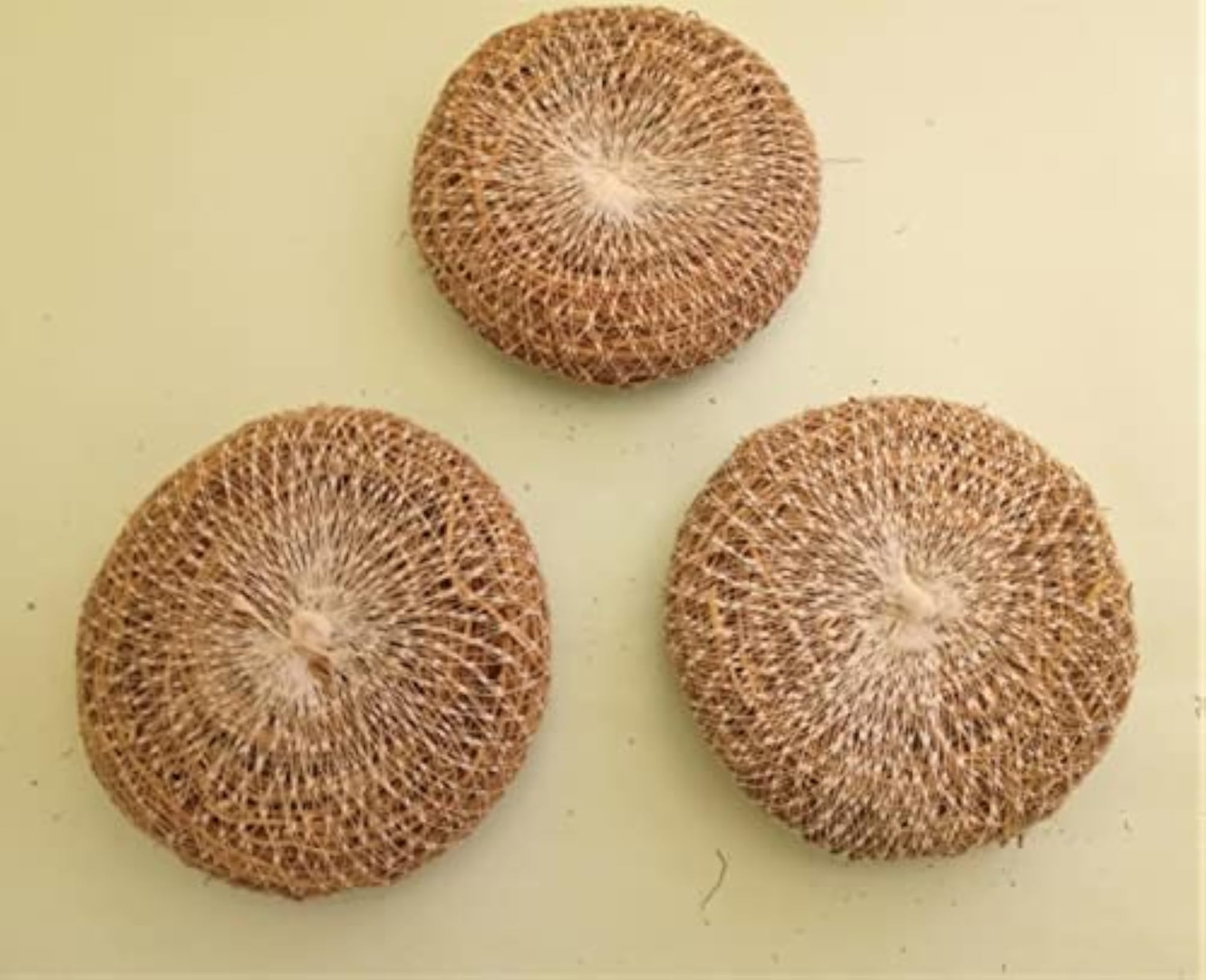 Vetiver Ramacham Root Stress Relief Natural Body Coolant