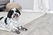 TRIXIE 19503 Hundesocken, Anti-Rutsch, M–L, 2 St., grau, 4011905195032, medium-large