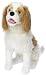Melissa & Doug Cavalier King Charles Spaniel - Lifelike Stuffed Animal Dog