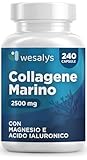 Collagene Marino con Acido ialuronico - 240 Capsule - 2500mg di Collagene idrolizzato, Integratore con Biotina, Vitamina C, Coenzima Q10 per Pelle, Capelli e Articolazioni