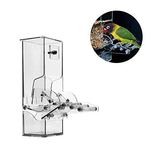 Grandnessry Pigeons Feeder Automatic Bird Feeder, Acrylic Cage Accessories Bird Bird Food Container Seed Container Acrylic Bird For Parrot Canary Cockatiel