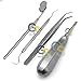 G.S Set of 4 PCS Oral Dental EXTRACTING Extraction Elevators Instruments APICAL Root TIP Elevator DEL 34