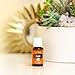 Young Living Orange Essential Oil 15ml - Brighten Your Space with an Uplifting Citrus Aroma - Cleanse, Refresh, and Promote Wellness - Premium Young Living
