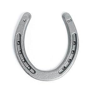 Steel Horseshoes Set for Horses, Crafts, Decorations and Backyard Games – Size 00 – Plain – 40 Shoes