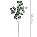 Supla 3 Pcs Artificial Silver Dollar Eucalyptus Leaf Spray in Green 25.5