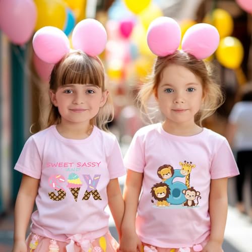 Girls 6th Birthday Shirts for Kid Girls 6 Years Old Birthday Outfit Pink3