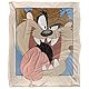 LOONEY TUNES Silky Touch Kuscheldecke, superweich, 152 x 127 cm