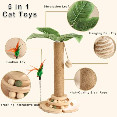 Marchul 5 in 1 Katzenspielzeug, Katzenkratzbaum mit Sisalseil, Hölzerne Katze Track Toy Ball mit Springy Feder, Kätzchen Baum mit simulierten Pflanzen, Interaktiver Kratzbaum für Katzen