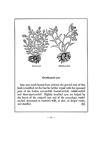 An Aztec Herbal: The Classic Codex of 1552 - Image 10