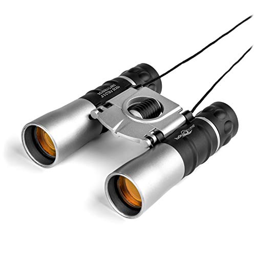 Lucky Bums Youth/Kids 10x25 Objective Power Lens Scout Compact Binoculars, Lightweight, Great for Hikes, Bird Watching, Hunting, or Outdoor Games, Silver
