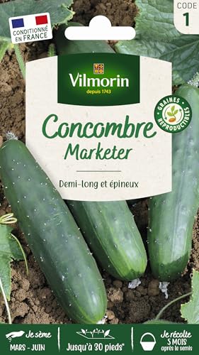 Vilmorin 3452841