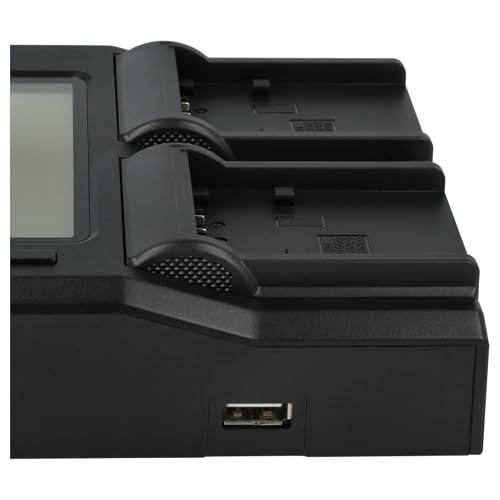 Chargeur double compatible Sony HDR-CX210E caméscope écran LED - 7