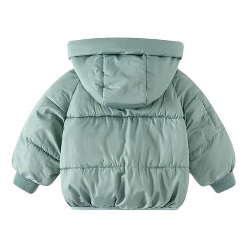 wodceeke Toddler Boys Girls Down Puffer Jacket Winter Coats with Hood Kids Lightweight Hooded Padded Warm Outwear3