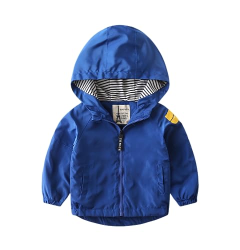 Irsutey Toddler Boys Windbreaker Fleece Lined Outerwear Shirt Kids Zip Hooded Thick Warm Dinosaur Pocket Jacket Coat