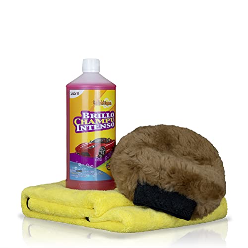 Sisbrill Premium Kit per il lavaggio della vernice esterna