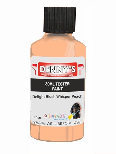 Premium Interior Wall & Furniture Chalk Paint – Delight Blush Whisper Peach – Rich Matt Finish, Durable & Washable, Low Odour, Ideal for Living Rooms, Bedrooms & Hallways (30ML Tester Bottle)