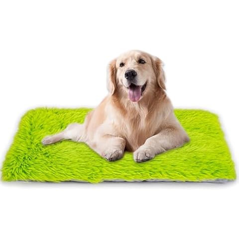 Machine Washable Dog Bed, Deluxe Plush Dog Crate Pad and Cat Bed, Anti-Slip Bottom Kennel Pad Mat, Fuzzy Pet Beds for Large, Medium, Small Dogs Breeds (Grass Green, 36.0"L x 24.0"W x 3.0"Th x 1 Pack) Cover