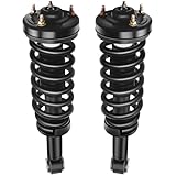 SCITOO Strut Spring Assembly 2009-2013 For Ford For F-150 Front Shock Absorbers 171140 Automotive Replacement Struts