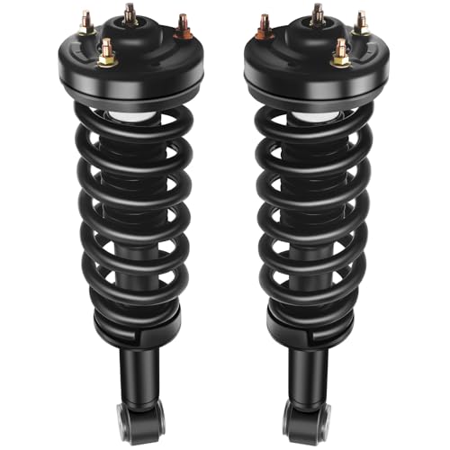 SCITOO Strut Spring Assembly 2009-2013 For Ford For F-150 Front Shock Absorbers 171140 Automotive Replacement Struts