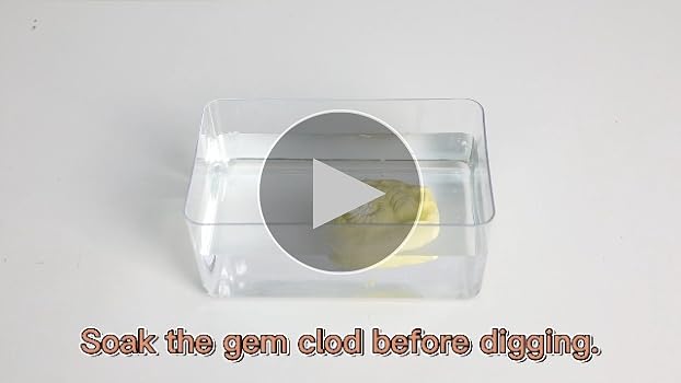 古生物/化石セット 楽天市場】XXTOYS 化石発掘キット 化石標本 化石 発掘 キット