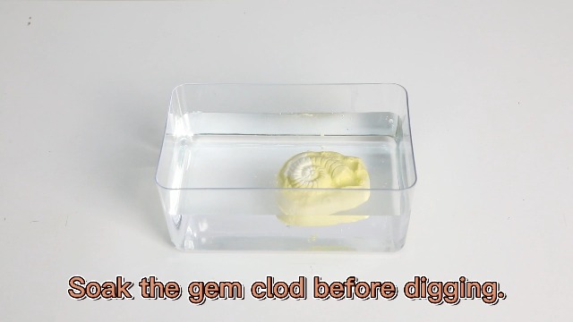 古生物/化石セット Amazon | Discovery 巨大な化石掘りセット 考古学発掘キット 15