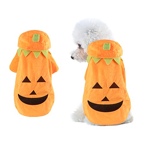 Disfraz de Calabaza para Perro Medium