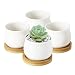 Greenaholics Succulent Plant Pots - 2.76 Inch Ceramic Round Container for Mini Succulents, Cactus, Small Flower Pots with Bamboo Trays, Set of 4, White