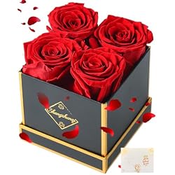 Changshunqi Forever Flowers, Preserved Roses in a Box, Eternal Rose Flowers for Delivery, Forever Preserved Roses for Her Women Wife Christmas Birthday Mothers Flower for Mom Womens Girlfriend