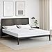 vidaXL Mattress White 200 x 200 cm Foam, Comfort Sleep Mattress, Modern Design, Supportive for Relaxing, Medium Firm Foam