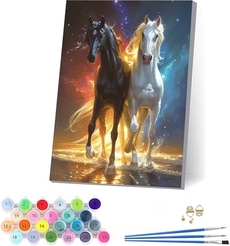 G n lp DIY yCgoCio[ v h G fW^GZbg uVƃANGt hG l̃NtgANeBreB Paint by Numbers z[ ItBX av[g 40x50cm K-