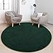FlyDOIT Round Area Rugs for Bedroom Living Room, 4x4 Dark Green Super Soft Comfy Thickened Memory-Foam Indoor Circle Carpet, Modern Aesthetic Minimalist Carpet for Boys Girls Adults Nursery Home Décor
