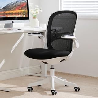 オフィスチェア デスクチェア 椅子 ゲーミングチェア ゲームチェア パソコンチェア おしゃれ 通気性メッシュ 腰サポート 跳ね上げ式アームレスト (ブラック) [並行輸入品]