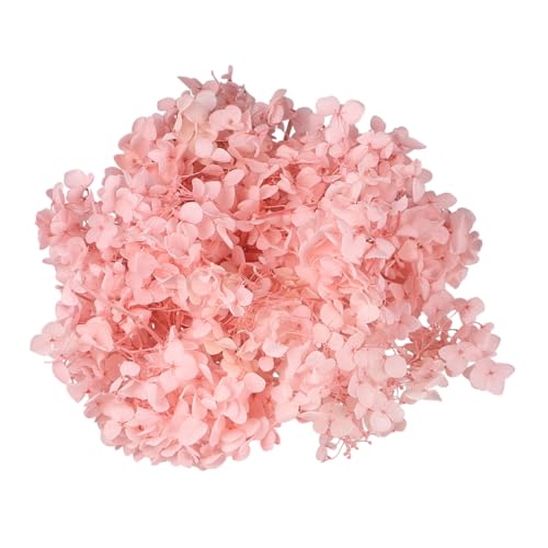 BESTOYARD paquete de pétalos de hortensia seca natural para artes