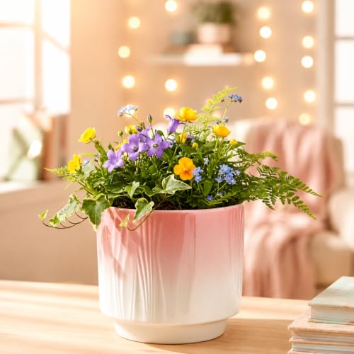 Image of Xtore Graceful Ribbed Ceramic Planter for Home & Office Decor | Modern Indoor Flower Pot with Soft Pink Finish for Living Room, Bedroom, Desk, Shelf, Balcony & Window Styling (Soft Pink)