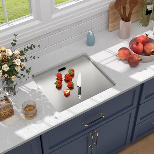 Outdoor-Sink-and-Faucet-21x18x9-Inch-Undermount-Bar-Sink-With-Faucet-and-Cover-16-Gauge-Stainless-Steel-Single-Bowl-Sink-with-Folding-Faucet-Indoor-Outdoor Outdoor Sink and Faucet 21x18x9 Inch Undermount Bar Sink With Faucet and Cover 16 Gauge Stainless Steel Single Bowl Sink with Folding Faucet Indoor Outdoor