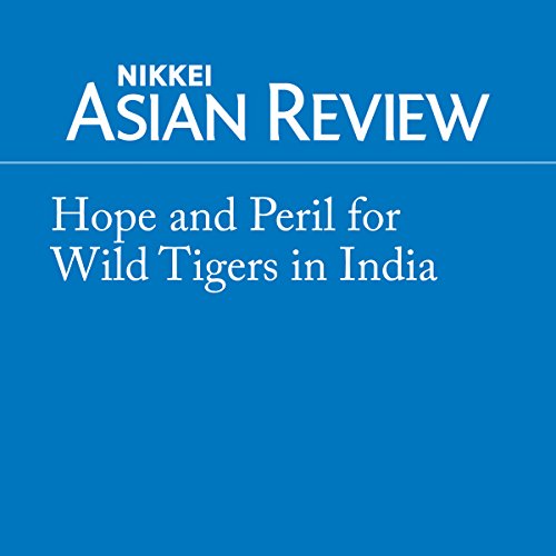 Ignite This Transformative Full Audiobook — Perfect While Traveling.