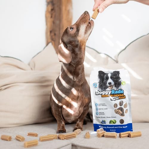DoggyRade Prebiotic Superfood Hühnerleber, Apfel & Karotte für Hunde 16 Leckerlis pro Packung - Darmgesundheit - Immununterstützung - Zahnpflege