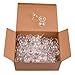 DOITOOL 100PCS Clear Chocolate Box Holder Plastic Round Chocolate Candy Wrappers Holders Candy Packaging Case Flower Support Rack for Birthday Wedding Valentines Day Gift
