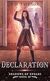déclaration de travaux erp  Declaration (Shadows of Endari Book 3) (English Edition)