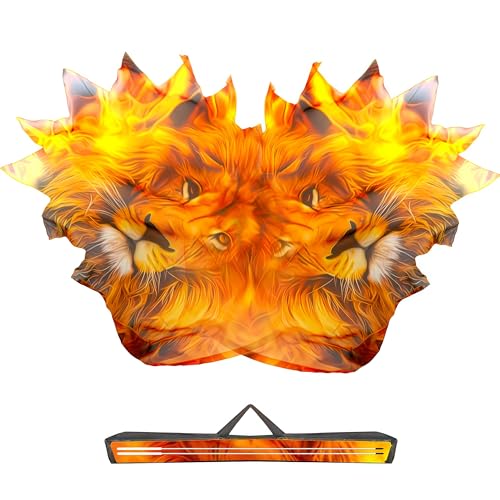 Baisdan 54"x45" Lion Worship Flags for Dance Church, Praise Dance