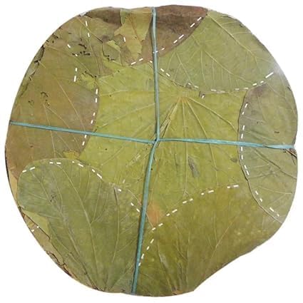 Techtest Moduga Pattal Natural 12 Inch, 20 Plates riginal Moduga Leaf Plate Plates | Palash Meal Platee | Pattal Vistarakulu | | Patti Pattal |Leaf Patri | Desi Patri | - देसी पटरी-image-6
