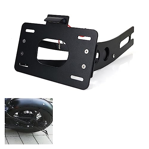 Support de plaque d'immatriculation latéral pour vos sorties en Shadow VT600 - 3