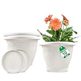 Bordo arrotolato: il vaso da fiori in plastica per piante da interno è progettato con bordo arrotolato che ti aiuta a spostare facilmente il contenitore, anche quando è pieno di terra. Non si rompe o si crepa durante il sollevamento. Dimensioni: 25,4 x 18,8 x 14,5 cm. Set di 3 vasi grandi in plastica solida da 25,4 cm sono adatti per piante da appartamento, piante grasse, fiori e cactus.