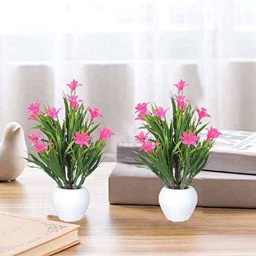 Image of Modo Combo of 2 Artificial Plants with Apple Pot for Home & Office Decor /Guldasta (21 CM) -Pink