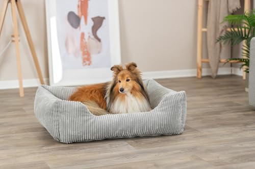 Trixie orthopädisches Hundebett Vital Jonna 60x50 cm in grau - hochwertiges Hundekissen mit Memory Schaum - Hundekorb für ältere Hunde - gelenkschonend und entlastend – 37263