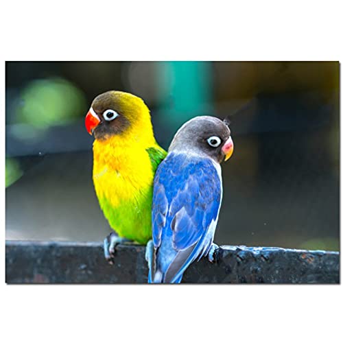 Diamant Peinture Kit 5D deux perroquets broderie carrée et ronde 50x100cm pour mosaïque murale