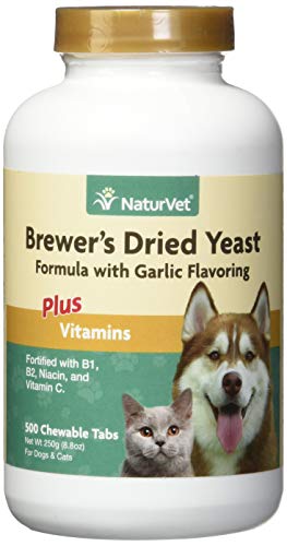 garlic tablets for cats